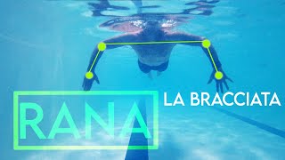 Corso di Nuoto  Lezione 13  RANA La bracciata GIANNI BARBERINO [upl. by Herra231]