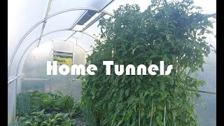 45m Tunnelhouse Tour [upl. by Lavinia]