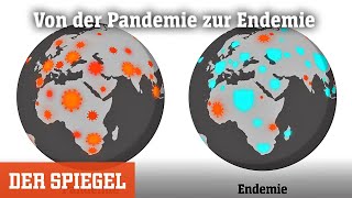 Von der Pandemie zur Endemie Wie kommen wir da jemals wieder raus  DER SPIEGEL [upl. by Faria]