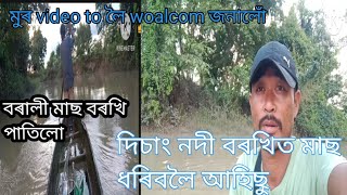 দিচাং নদীত বৰখিত মাছ ধৰিবলৈ আহছু [upl. by Nnairam]