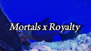 Mortals x Royalty Mashup  Lyrics [upl. by Tinya]