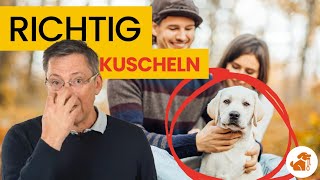 2 große Missverständnisse beim Kuscheln mit deinem Hund [upl. by Oyam]