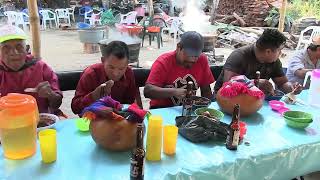 Fiesta Anual en Honor a la Virgen de Guadalupe en Pueblo Hidalgo San Luis Acatlán Guerrero DVD 3 [upl. by Geof481]