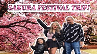 SOBRANG GANDAAAAA SAKURA FESTIVAL SA JAPAN [upl. by Noelle342]