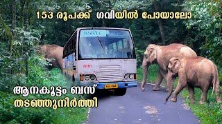 KSRTC Gavi bus Trip  ആനകൂട്ടം ബസ് തടഞ്ഞുനിർത്തി  kozhikode To Gavi  Gavi Bus  KSRTC  free20 [upl. by Ididn282]