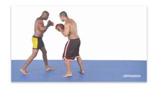 Anderson Silva Striking Combos For MMA With English Subtitles CD1 [upl. by Leesa739]