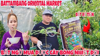 BẤT NGỜ MUA ĐƯỢC CÂY BÔNG NHIỆT ĐỚI Ở CHỢ Battambang CANH CHUA BÔNG SO ĐŨA HÁI TỪ VƯỜN NHÀ Ở MỸ 2024 [upl. by Woodrow]