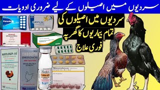 Important Winter Medications for Aseel Chicken Master Aseels [upl. by Kingsbury]