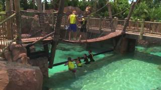 The Grand Reef at Discovery Cove offers snorkeling and helmet dive among sharks and rays [upl. by Melmon798]