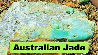 Found A Mountain Full of Australian Jade  Chrysoprase [upl. by Caril327]