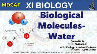 Biological molecules  Importance of water  Mdcat lectures series by irtisamsbiology [upl. by Raynard]