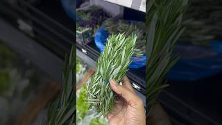 Rosemary water hair growth  priyaram vlogsAlmeera Muscatshortsfeed youtubeshorts [upl. by Aldwon]