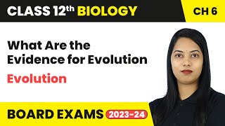 What Are the Evidence for Evolution  Evolution  Class 12th Biology Chapter 6  CBSE [upl. by Sibylle]