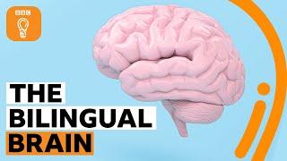 Why being bilingual is good for your brain  BBC Ideas [upl. by Polky]