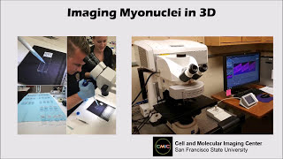 Confocal Microscopy Explained [upl. by Kokaras]