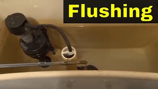 Unbelievable Trick to Make Your Toilet Flush Like Never Before [upl. by Godewyn]