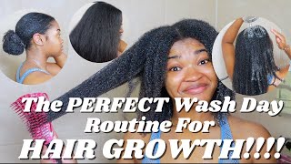 The PERFECT Wash Day Routine for HAIR GROWTH  SUPER DETAILED [upl. by Weber213]