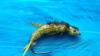 Tying a Golden Stonefly Nymph with Davie McPhail [upl. by Nosyla358]