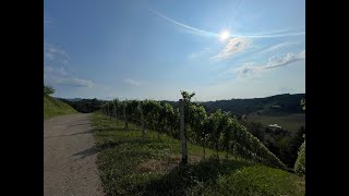 Einzigartige Landwirtschaft amp Weingärten in Alleinlage  Leutschach an der Weinstraße [upl. by Marlowe]