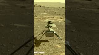 Mars Rover Gives Birth [upl. by Martinic]