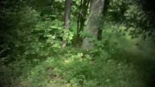 Bigfoot Sighting in Powhatan Virginia outside Yard Works [upl. by Blanche64]