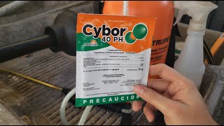 COMO FUMIGAR TU CASA EN 5 MINUTOS CONTRA CUCARACHAS  RESULTADOS [upl. by Ahtrim]