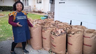 Composting with Leaves and Kitchen Scraps [upl. by Johnathan900]