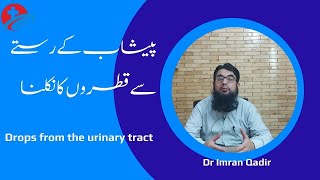 Drops from the urinary tractپیشاب کے رستے سے قطروں کا نکلناDr Imran Qadir [upl. by Stella]