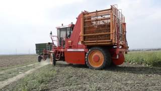 Video Bifila Scavabiletole Corima Europa 4x4 Tworows harvester [upl. by Iline]