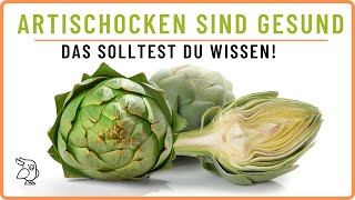 ✅ GESUNDE ARTISCHOCKE ✅ 7 Gründe warum Artischocken so gesund sind [upl. by Grove]