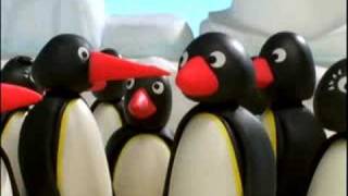 Pingu amp Friends IT [upl. by Ettenirt]