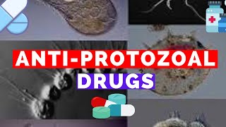 Antiprotozoal Drugs  Metronidazole Bactrim Suramin Pentamidine Eflornithine Fansidar [upl. by Llehcram729]