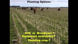 Grazing Cover Crops and Benefits for Livestock Operations  Mike Buis [upl. by Eilyak]