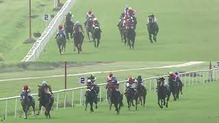 THE GREY GERANIUM with A R Pradeep up wins The Royal Calcutta Turf Club Trophy Div2 2024 RACE 97 [upl. by Ruhtua]