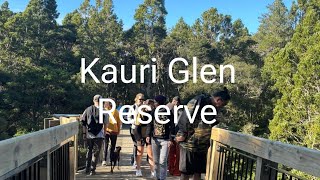 Kauri Glen Reserve walk opening  Northcote Auckland New Zealand [upl. by Essej]