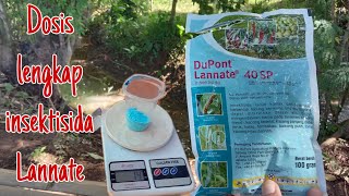 Dosis Dupont lannate 40 SP  Insektisida Dupont lannate [upl. by Adnerad]