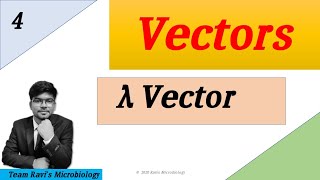 Lambda Phage Vector  Clonning Vectors  Hindi [upl. by Groves]