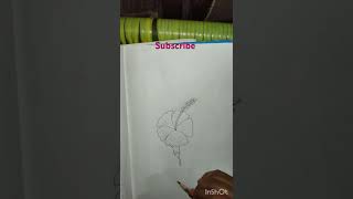 draying flowers🌺🌺short video 🌺🌺 [upl. by Ariet452]