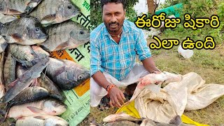 ఈరోజు షికారి ఎలా ఉంది 🐟yatala shankar vlogs యాటల శంకర్ చేపల వీడియో🐟 [upl. by Holly-Anne]