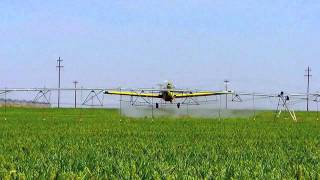 Crop Dusting  Air Tractor 802  Muleshoe Tx [upl. by Brosine]