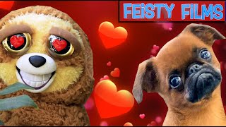 Feisty Pets In Love Compilation [upl. by Leirud]