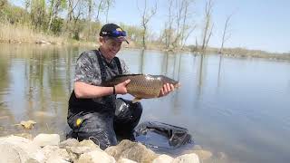 Bolo float fishing for carp in Aburg Ontario [upl. by Biondo730]