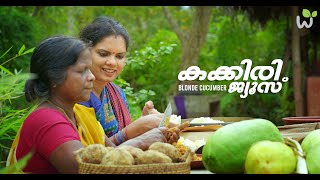 quotLIFE OF BLONDE CUCUMBERquot Healthy Summer Drink  Traditional Sweet Juice  പൊട്ടുവെള്ളരി  കക്കിരി [upl. by Nylzzaj]