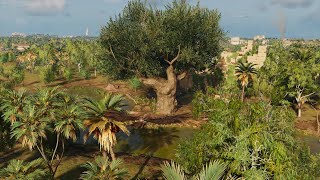 Royal Flora  Assassins Creed Origins  Papyri Puzzle [upl. by Oiluarb]