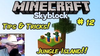 CubeCraft SkyBlock Playthrough – Jungle Island – Fourth Island [upl. by Arimay603]