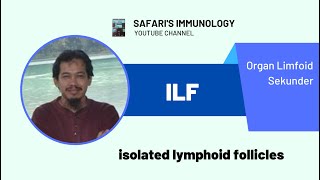 ISOLATED LYMPHOID FOLLICLE [upl. by Atiner]