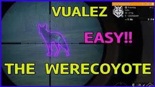 The hunter COTW VUALEZ  THE WERECOYOTE EASY Guide DIAMOND Large Coyote [upl. by Burbank]