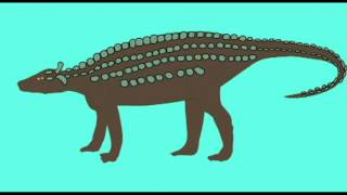 PL EXAM 2 TRANSITIONAL FOSSILS OF ARMORED DINOSAURSavi [upl. by Seyer]