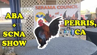 Southern California Poultry Show SCNA and ABA  Serama Show [upl. by Tranquada]