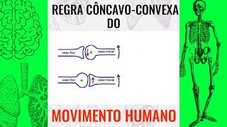 RESUMO REGRA CÔNCAVOCONVEXA  Hugo Oliveira [upl. by Skiest]